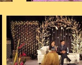 Branch & Crystal Stage Seating - Rajasthan Event Management
